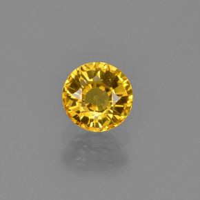 0.8ct Round Facet Yellow Golden Sapphire Gem for sale 0.8ct Round Facet Yellow Golden Sapphire Gem (ID: 453440)