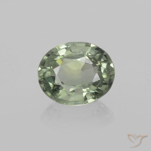 0.77ct Natural Forest Green Sapphire, Oval, VVS-VS