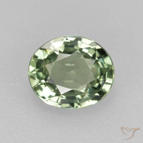 Mossy Green Saphir Edelstein - 0.8ct Oval facettiert (ID: 459963)