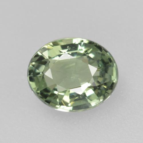 Vert terreux Saphir gemme - 0.8ct Ovale facette (ID: 459966)