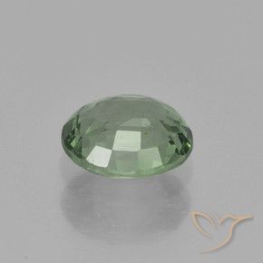 Sapphire Gemstone in 6.1 x 5.1 mm Size for Sale, Sapphire Stone in Light Forest Green Color