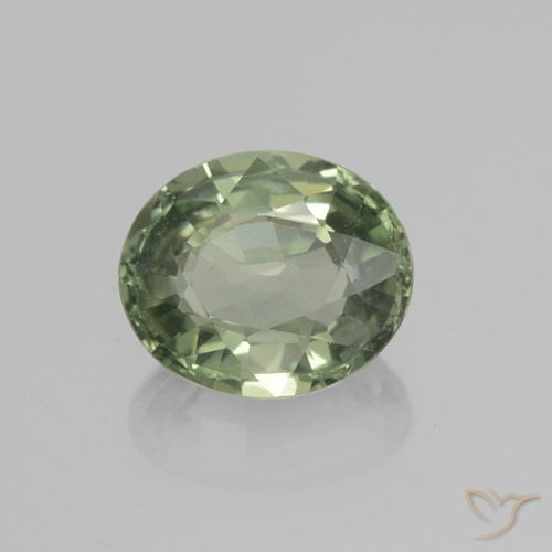 0.83ct Natural Medium Light Green Sapphire, Oval, VVS-VS