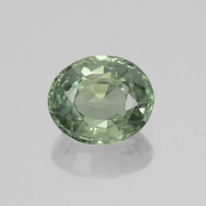 Medium-Light Green Saphir Edelstein - 0.8ct Oval facettiert (ID: 460021)
