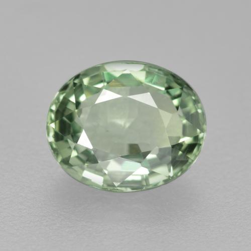Verde cálido Zafiro Gema - 0.8ct Forma ovalada (ID: 460054)