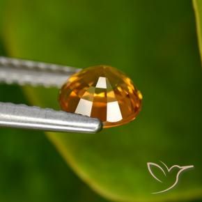 Sapphire Gemstone in 5.5 mm (calibrated) Size for Sale, Sapphire Stone in Medium-Dark Orange Color