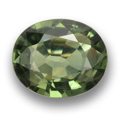 Light Forest Green 蓝宝石 Gem - 1.1ct 椭圆形切面 (ID: 460756)
