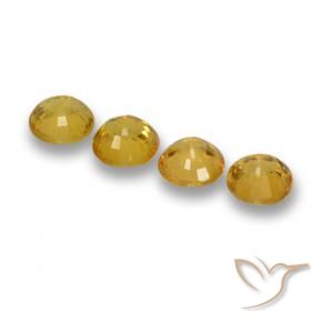 Sapphire Gemstones in 5 mm (calibrated) Size for Sale, Sapphire Stones in Deep Gold Color