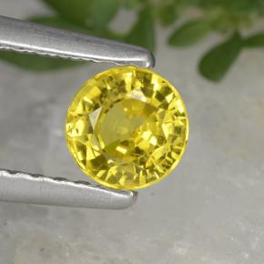 0.6ct Round Facet Yellow Golden Sapphire Gem for sale 0.6ct Round Facet Yellow Golden Sapphire Gem (ID: 461301)