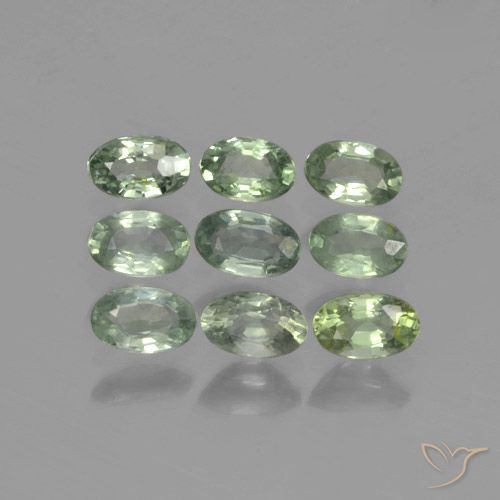 Waldgrün Saphir Edelstein - 0.3ct Oval facettiert (ID: 461963)