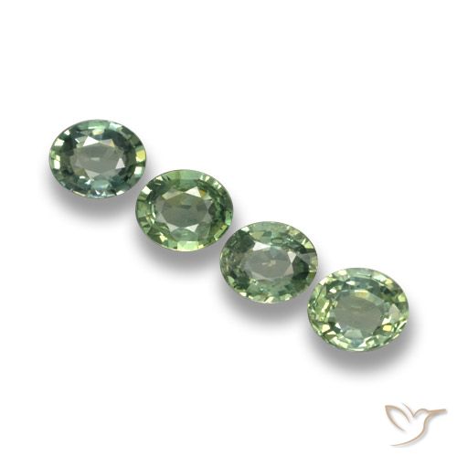 Light Forest Green Sapphire Gem - 0.7ct Oval Facet (ID: 462383)