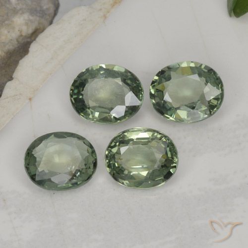 Light Forest Green Saphir Edelstein - 0.8ct Oval facettiert (ID: 462547)