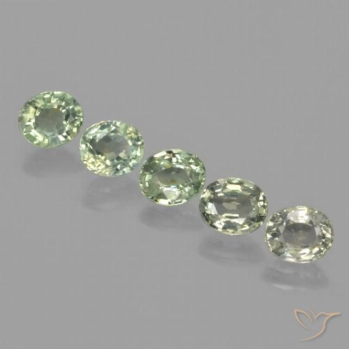 Light Sage Green Saphir Edelstein - 0.9ct Oval facettiert (ID: 462656)