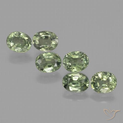 4.91ctw Natural Forest Green Sapphire, Oval, VVS-VS