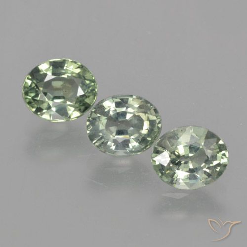 2.71ctw Natural Light Forest Green Sapphire, Oval, VVS-VS