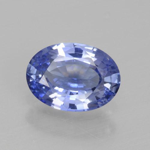 Medium Navy Blue Zaffiro Gem - 0.8ct Ovale sfaccettato (ID: 464089)