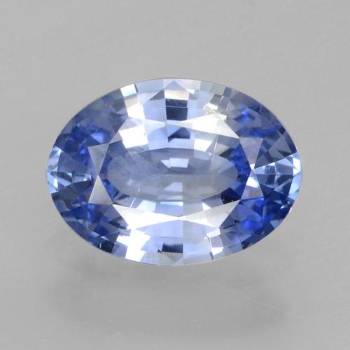 Medium Navy Blue Saphir Edelstein - 1ct Oval facettiert (ID: 464153)