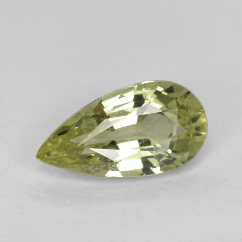 0.6ct Pear Facet Greenish Yellow Sapphire Gem for sale 0.6ct Pear Facet Greenish Yellow Sapphire Gem (ID: 467925)