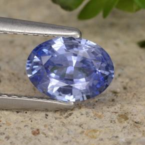 Medium Navy Blue Сапфир Камень - 1ct Фасетный Овал (ID: 475324)