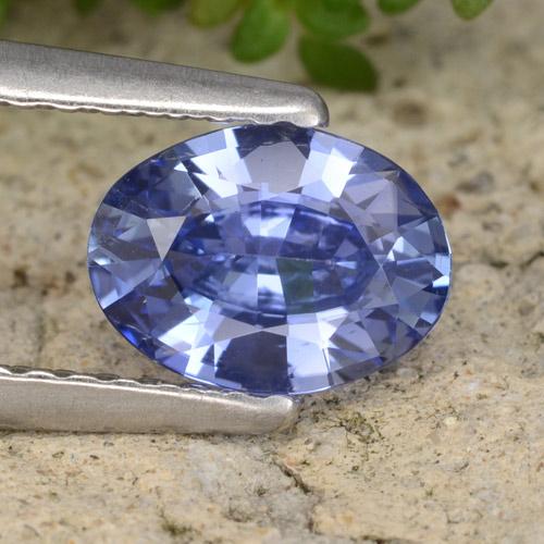 Azul marino medio Zafiro Gema - 0.8ct Forma ovalada (ID: 475404)