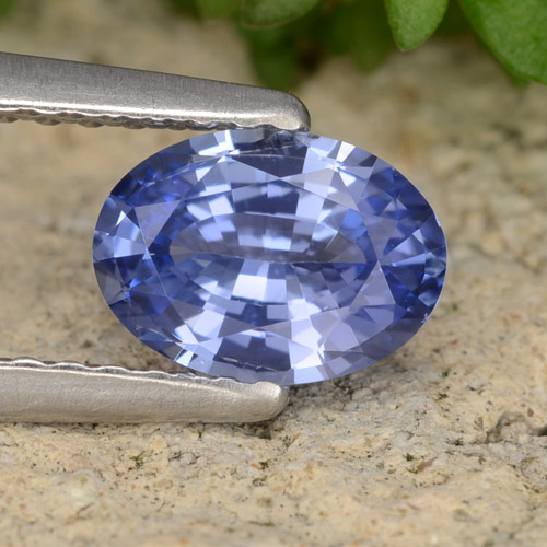Azul marino medio Zafiro Gema - 0.8ct Forma ovalada (ID: 475409)