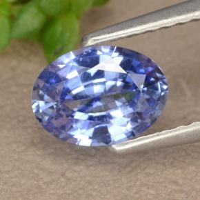 Azul marino medio Zafiro Gema - 1ct Forma ovalada (ID: 475608)