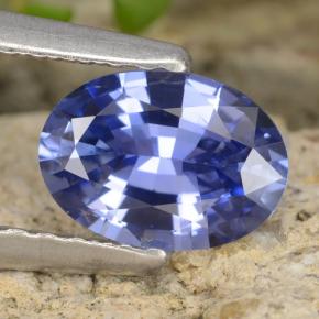 0.8ct Oval Facet Blue Sapphire Gem for sale 0.8ct Oval Facet Blue Sapphire Gem (ID: 475701)