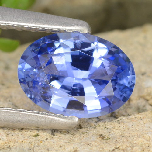 Blue Sapphire Gem - 0.8ct Oval Facet (ID: 475704)
