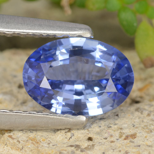 Medium Navy Blue Сапфир Камень - 0.7ct Фасетный Овал (ID: 475709)