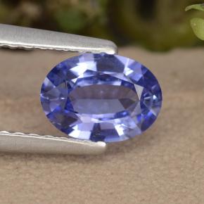 Intense Violet Blue Sapphire Gem - 0.8ct Oval Facet (ID: 476093)