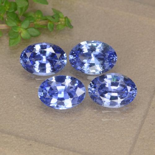 Medium Navy Blue Saphir Edelstein - 0.8ct Oval facettiert (ID: 476375)
