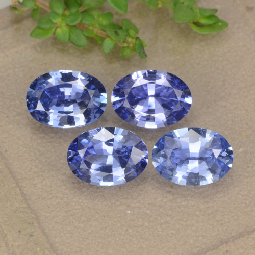 Medium Navy Blue Sapphire Gem - 0.8ct Oval Facet (ID: 476376)