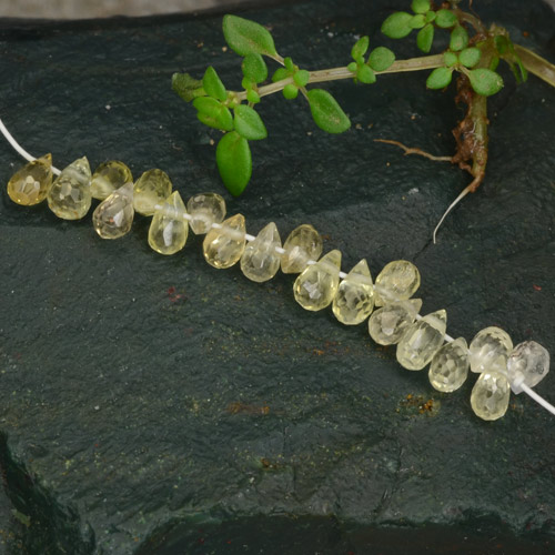 Lotto di zaffiro taglio briolette da 19 pezzi 4,2mm - Peso totale di 3,78 ct / avg. 0,2 ct ciascuno, colore: Giallo medio, durezza Mohs 9 adatto per gioielli da indossare ogni giorno, Pietra zodiacale Toro, Photo A