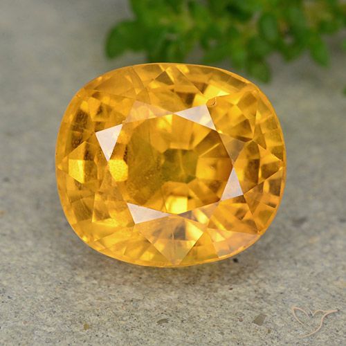 8.35ct Natural Dark Golden Sapphire, Oval, VS-SI