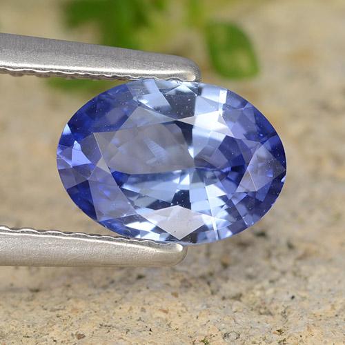 Medium Navy Blue Sapphire Gem - 0.9ct Oval Facet (ID: 490150)