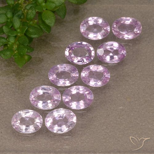 Tono rosado cereza Zafiro Gema - 0.2ct Forma ovalada (ID: 492013)