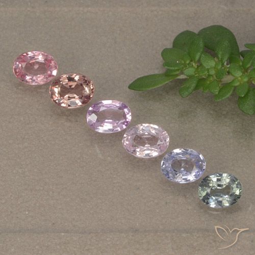 Multicolor Zafiro Gema - 0.2ct Forma ovalada (ID: 492031)