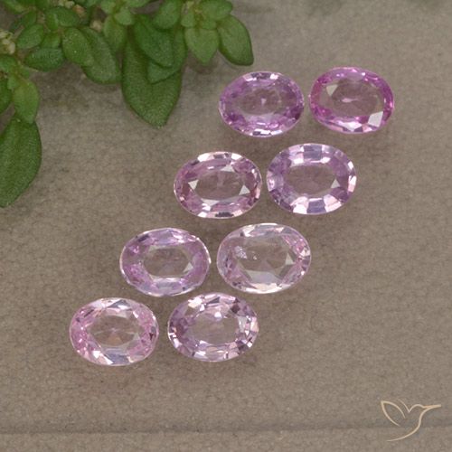 1.43 ctw Pink Sapphire Gemstones, Sapphire Gems in Oval Facet Shape for Sale.