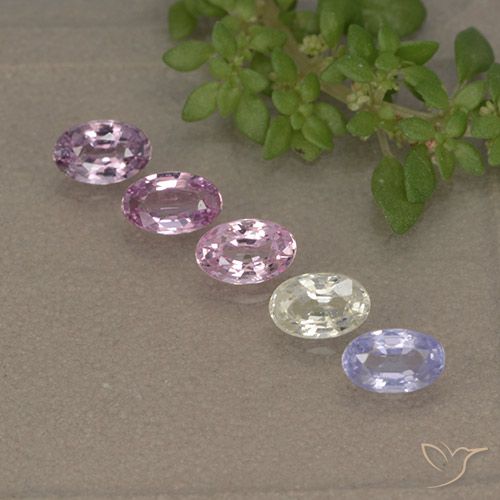 1.46 ct Oval Cut Sapphire, 4.9 x 3.1 mm From Tanzania, Photo A