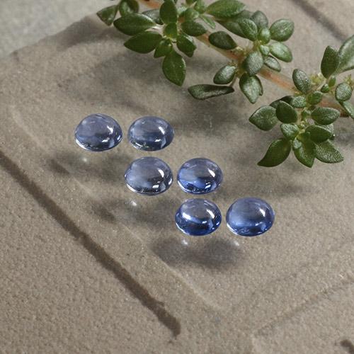 Medium Navy Blue Сапфир Камень - 0.2ct Круглый Кабошон (ID: 495675)