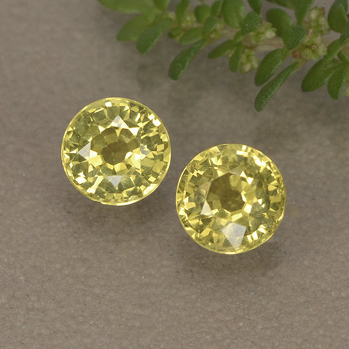 Light Pineapple Yellow Sapphire Gem - 0.5ct Round Facet (ID: 496444)