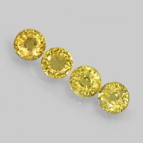 Amarillo claro medio Zafiro Gema - 0.4ct Faceta Redonda (ID: 503975)