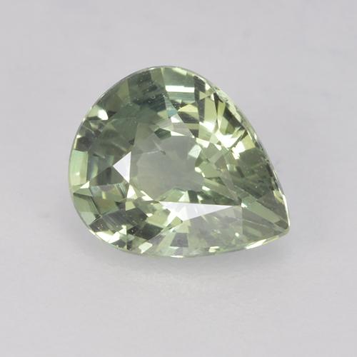 Verde salvia claro Zafiro Gema - 0.8ct Corte en forma de pera (ID: 505305)