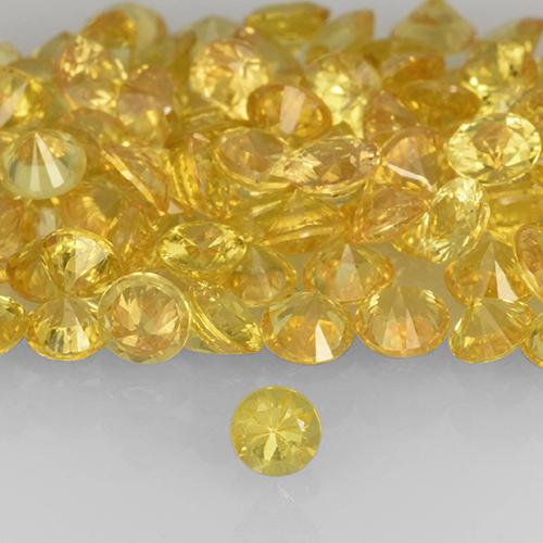 Dorato Zaffiro Gem - 0.1ct Taglio brillante (ID: 505741)