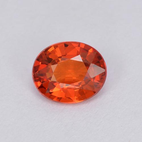 Medium Red 蓝宝石 Gem - 0.9ct 椭圆形切面 (ID: 511946)