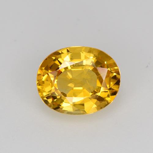 ゴールド サファイア 宝石 - 0.9ct オーバル ファセット (ID: 522593)