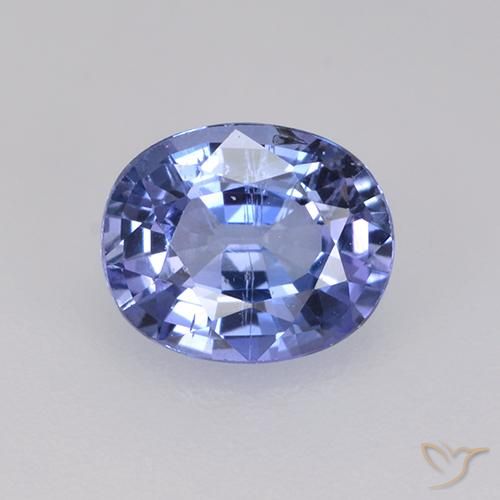 Medium Navy Blue Sapphire Gem - 0.8ct Oval Facet (ID: 525137)