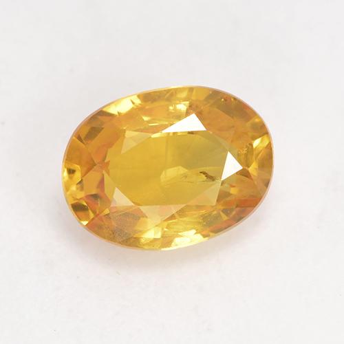 Medium Golden Sapphire Gem - 1.5ct Oval Facet (ID: 532218)