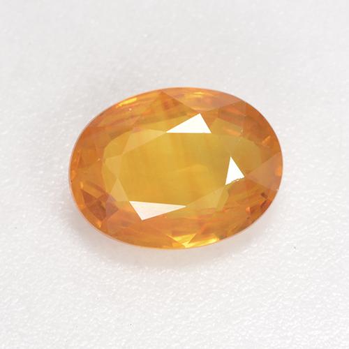 Naranja medio Zafiro Gema - 1.5ct Forma ovalada (ID: 532501)