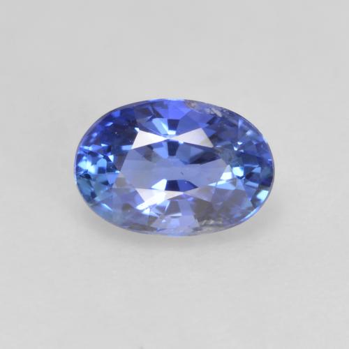 pura vida platinum