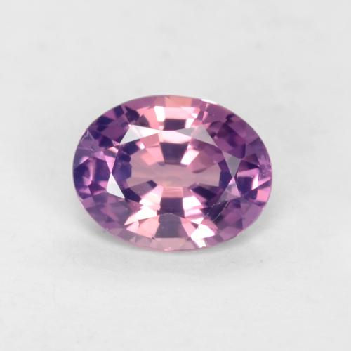 Púrpura rosado Zafiro Gema - 0.5ct Forma ovalada (ID: 538748)